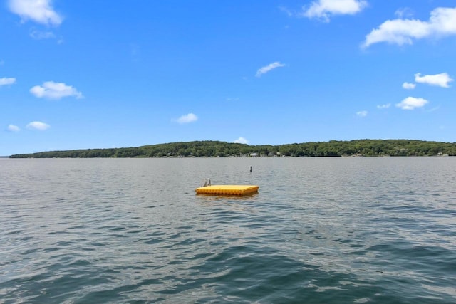 property view of water featuring a boat dock