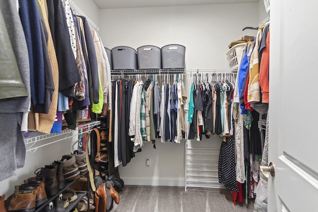 walk in closet featuring carpet