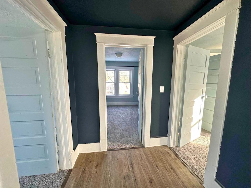 corridor featuring carpet flooring