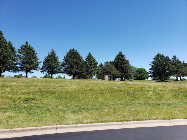 view of yard with a rural view