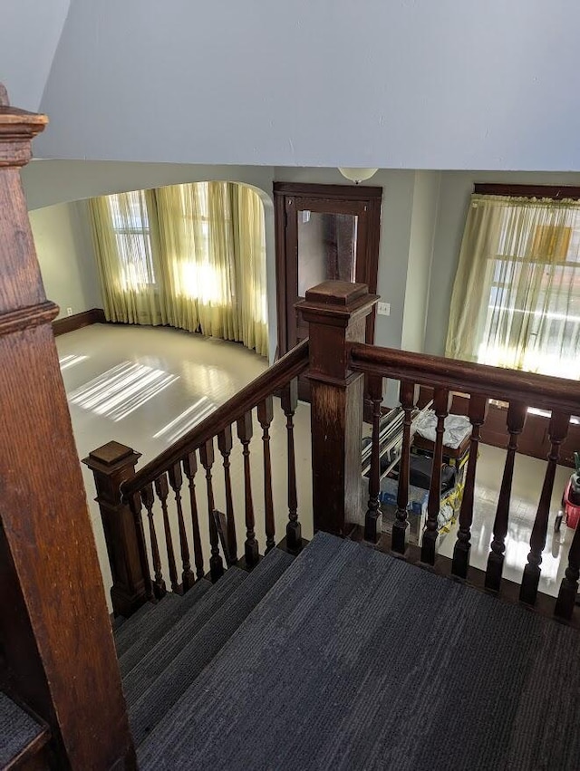 stairs with carpet floors and plenty of natural light