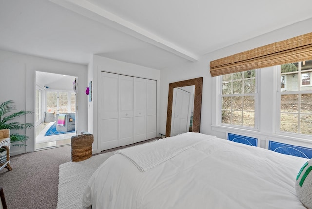 bedroom featuring beamed ceiling, carpet flooring, and a closet