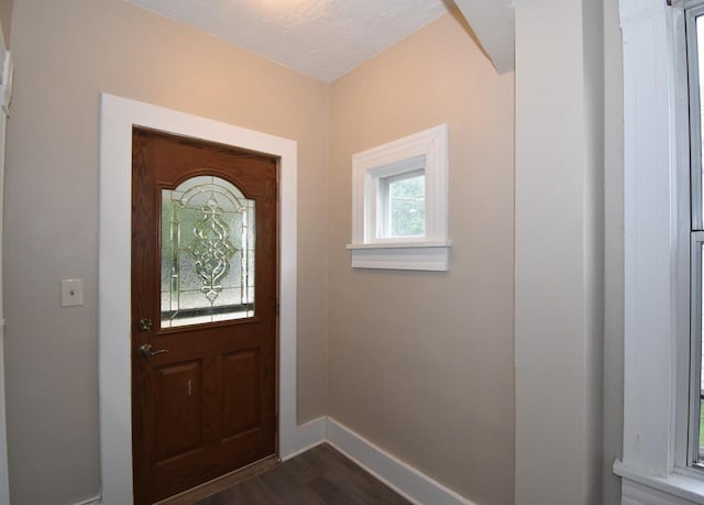 foyer entrance with dark wood-type flooring