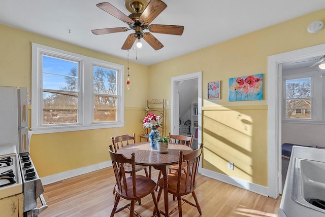 dining room with ceiling fan and light wood-type flooring