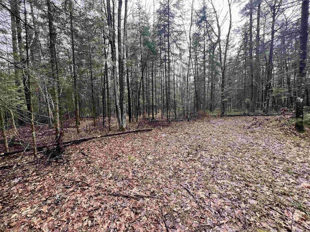 Poplar Rd, Wausaukee WI, 54177 land for sale