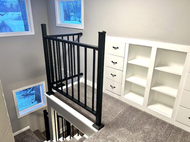 stairs with carpet and built in shelves