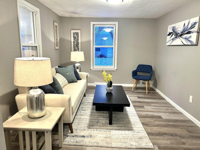 living room featuring wood-type flooring