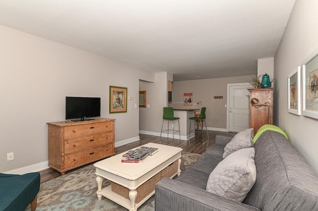 living room with dark hardwood / wood-style floors