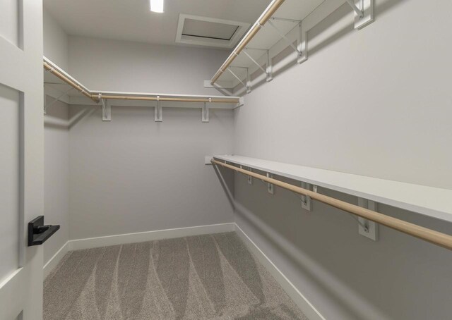 3620 Angelus Way, Cross Plains, WI 53528 - spacious closet featuring carpet and attic access