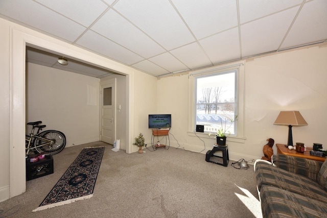 living area with a drop ceiling and carpet floors