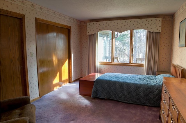 carpeted bedroom with two closets