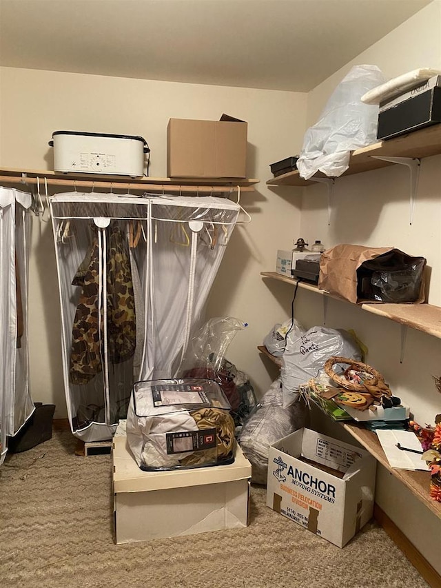 spacious closet with carpet