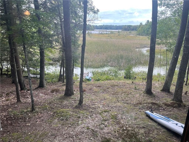 view of yard with a water view