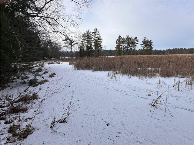 view of yard covered in snow