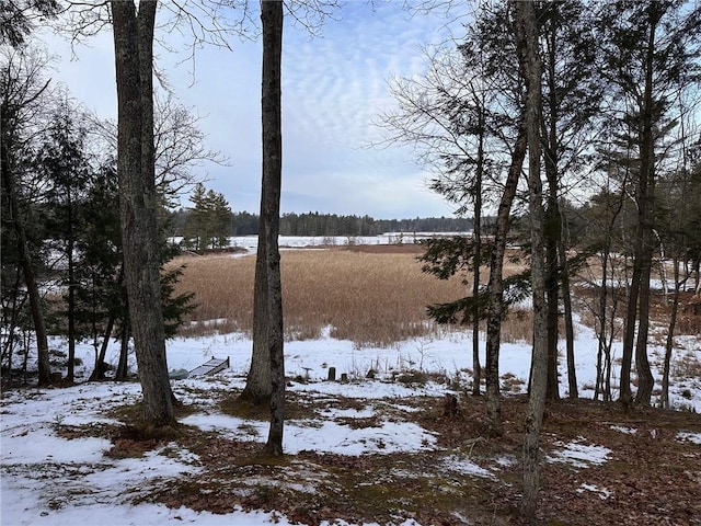 view of snowy yard