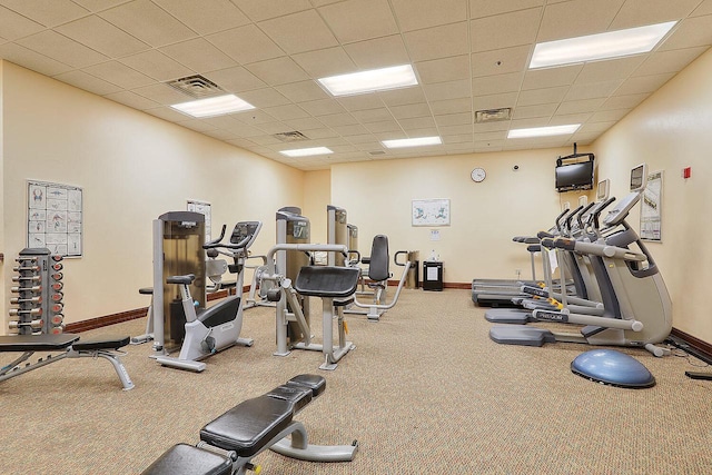 gym with a paneled ceiling and carpet flooring