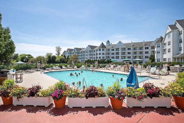 view of swimming pool featuring a patio