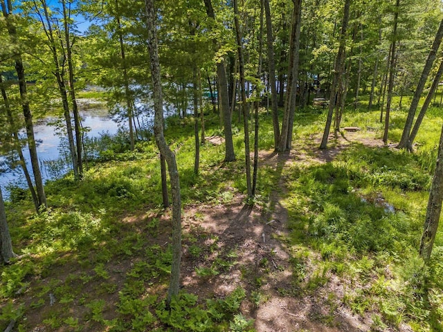 Listing photo 2 for N6142 Wolf River Rd, Shawano WI 54166