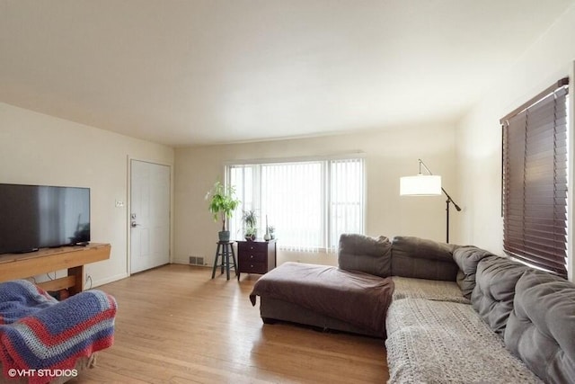 living room featuring light hardwood / wood-style flooring