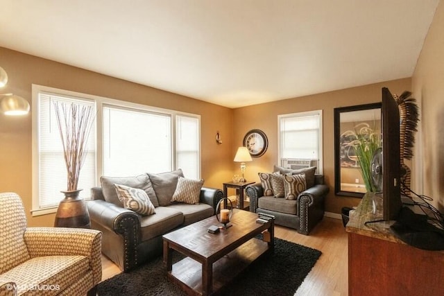 living room featuring a healthy amount of sunlight and light hardwood / wood-style flooring