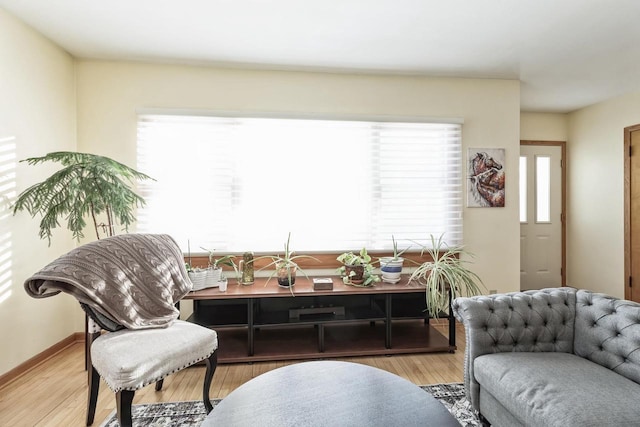 sitting room with light hardwood / wood-style floors