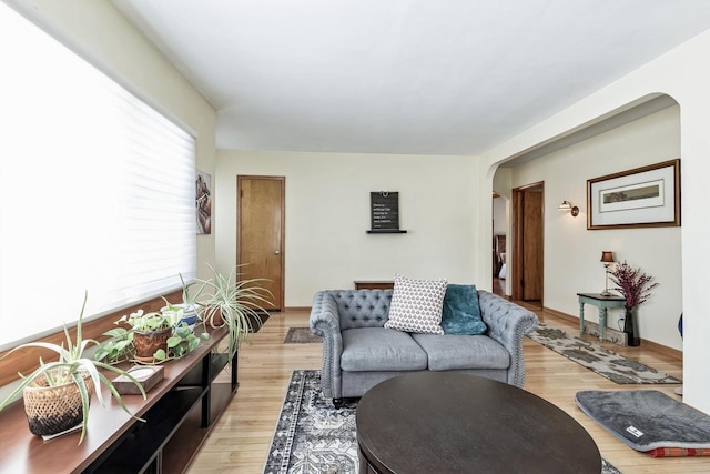 living room featuring light hardwood / wood-style floors