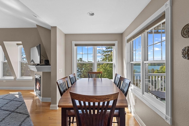 dining room featuring light hardwood / wood-style flooring and a healthy amount of sunlight
