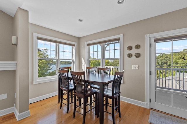 dining area featuring a healthy amount of sunlight and light hardwood / wood-style floors