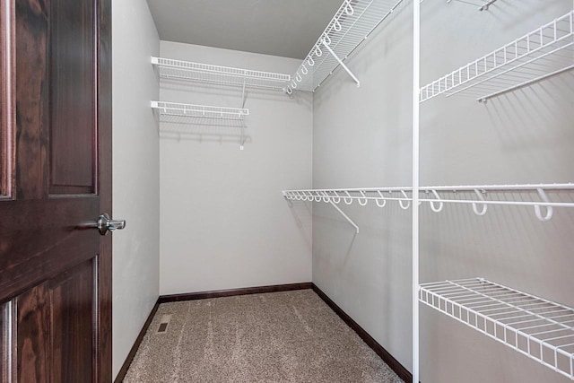 spacious closet featuring carpet