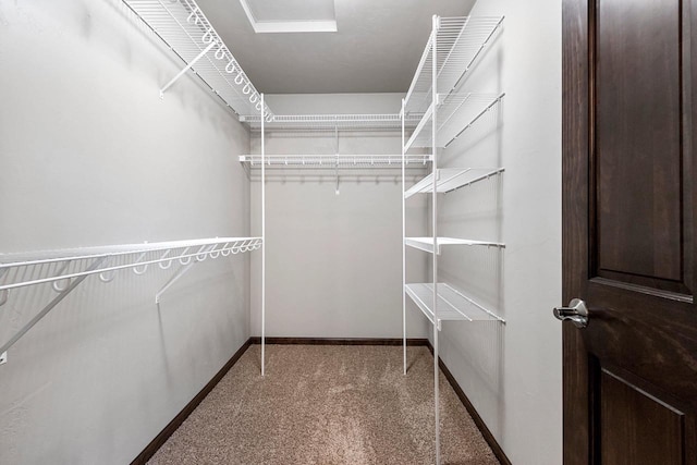 walk in closet with carpet