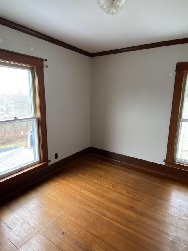 empty room featuring light hardwood / wood-style flooring, a wealth of natural light, and crown molding