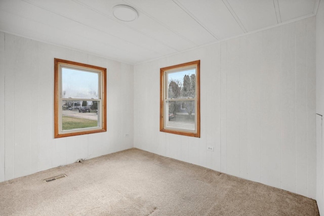 carpeted spare room with plenty of natural light and wooden walls