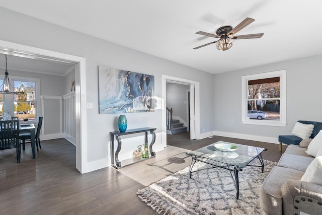 living room featuring a wealth of natural light, dark wood-type flooring, ceiling fan with notable chandelier, and ornamental molding