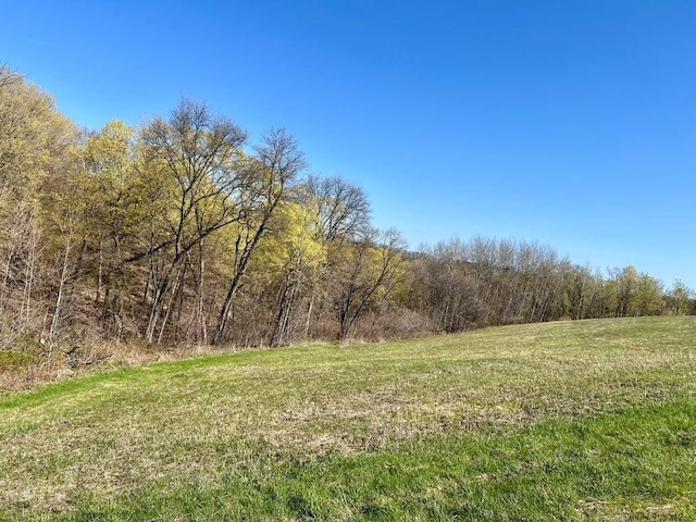 000 State Highway 171, Gays Mills WI, 54631 land for sale