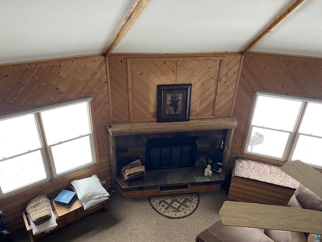 14239 S Eau Claire Acres, Gordon, WI 54838 - living room with carpet and wood walls