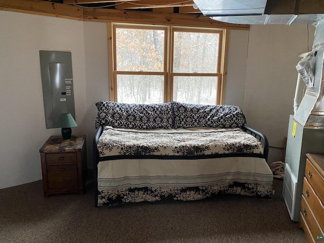 14239 S Eau Claire Acres, Gordon, WI 54838 - view of carpeted bedroom