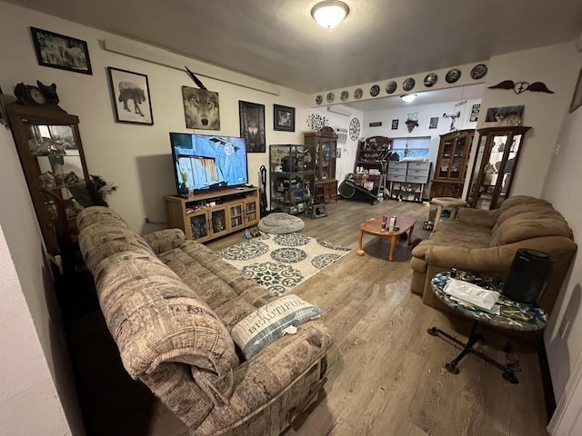 living room with hardwood / wood-style floors