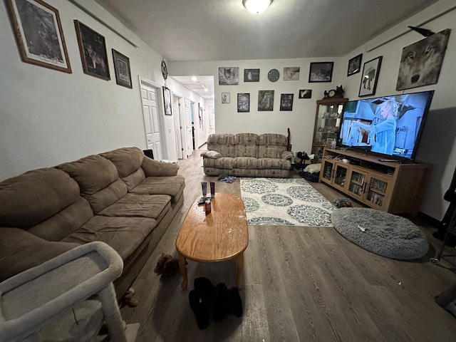 living room featuring hardwood / wood-style flooring