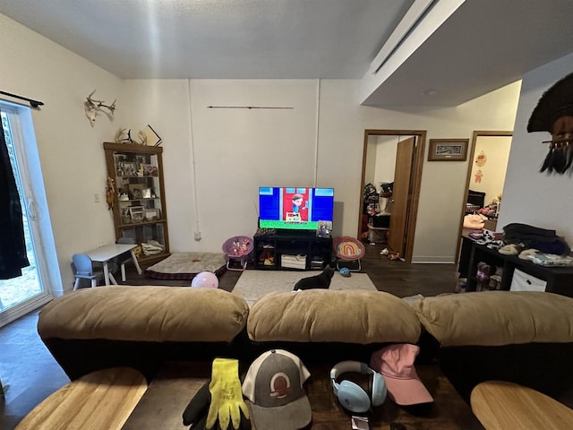 living room with hardwood / wood-style flooring