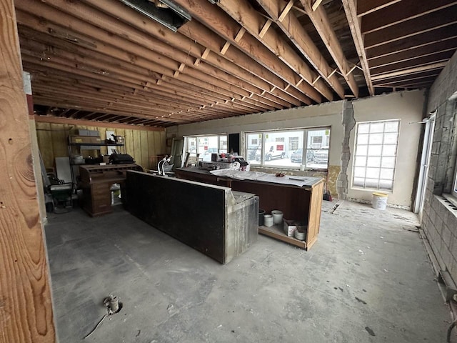 miscellaneous room featuring plenty of natural light