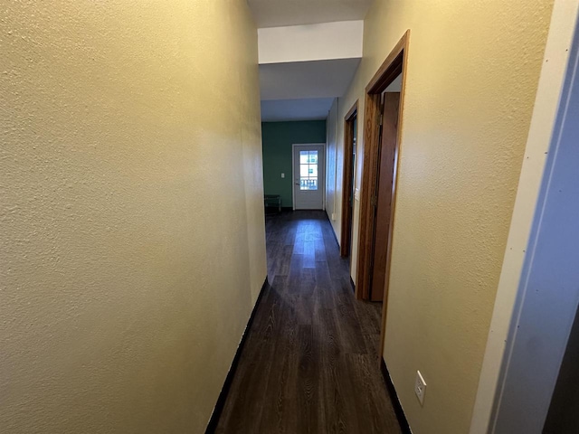 corridor with dark wood-type flooring