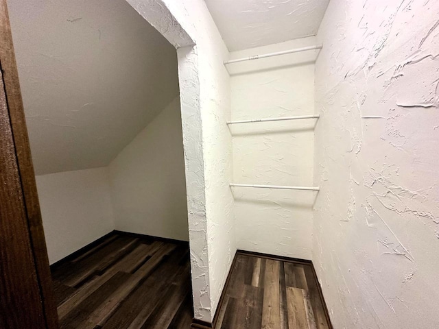 walk in closet with vaulted ceiling