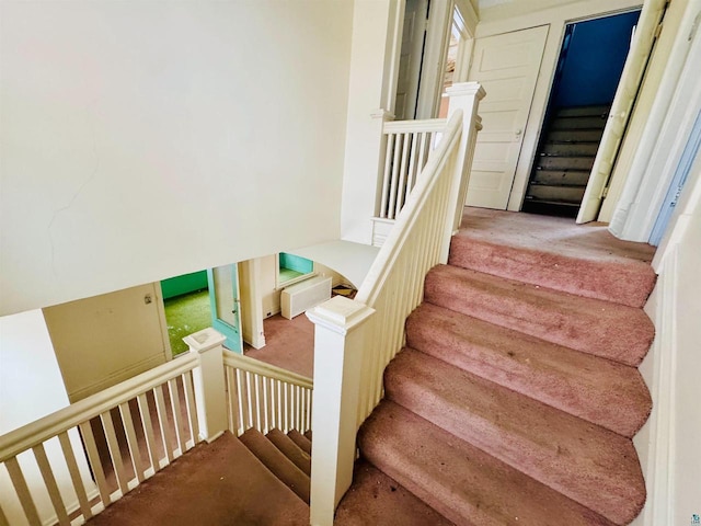 stairs with carpet floors