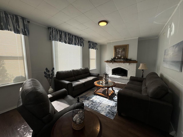 living room featuring hardwood / wood-style floors, crown molding, and a fireplace