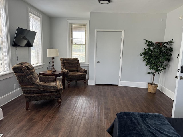 sitting room with dark hardwood / wood-style floors