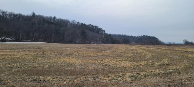 LOT6 Wafle Rd, Mauston WI, 53948 land for sale