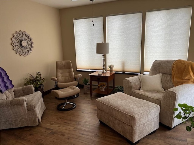 sitting room featuring dark hardwood / wood-style floors