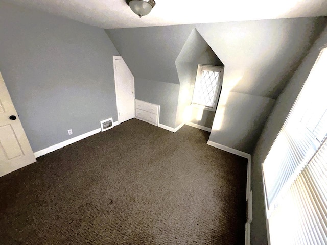 additional living space featuring a wealth of natural light, carpet, and lofted ceiling