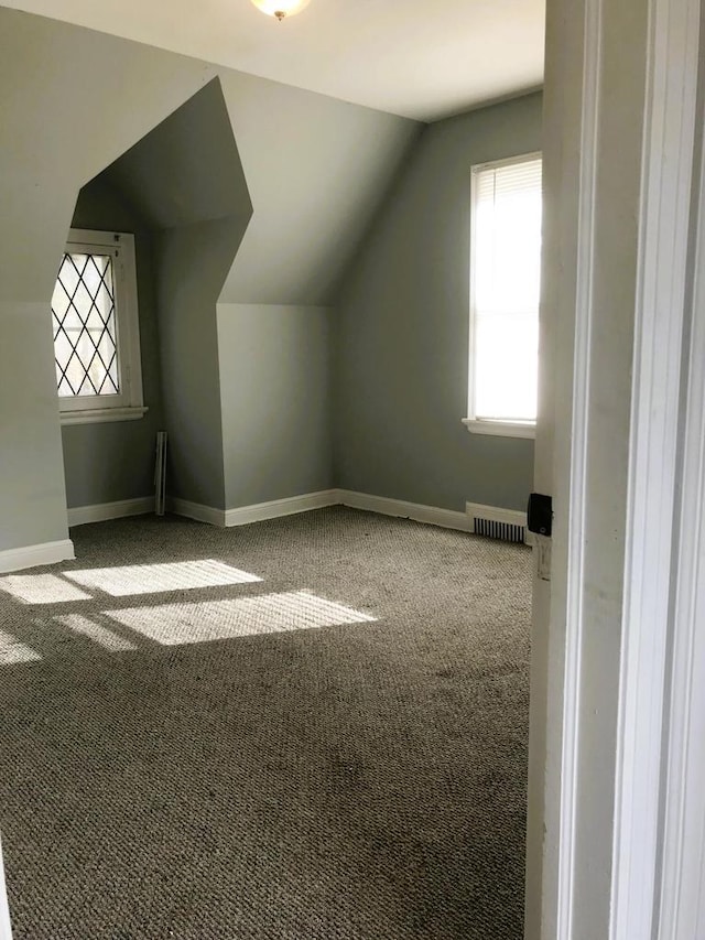 additional living space with carpet floors and lofted ceiling