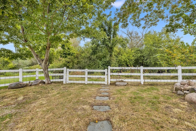 view of yard with a rural view